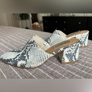 Steve Madden Snake Print Mule Size 6